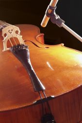 Cello & ABG Mount: cellos and acoustic bass guitars